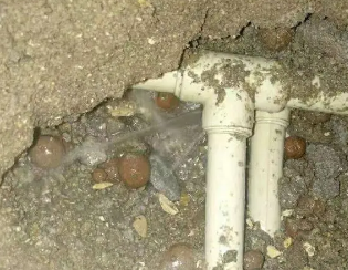 民和卫生间测漏