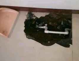 民和卫生间测漏水多少钱